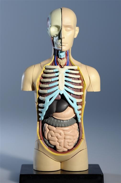 Plastikkörper