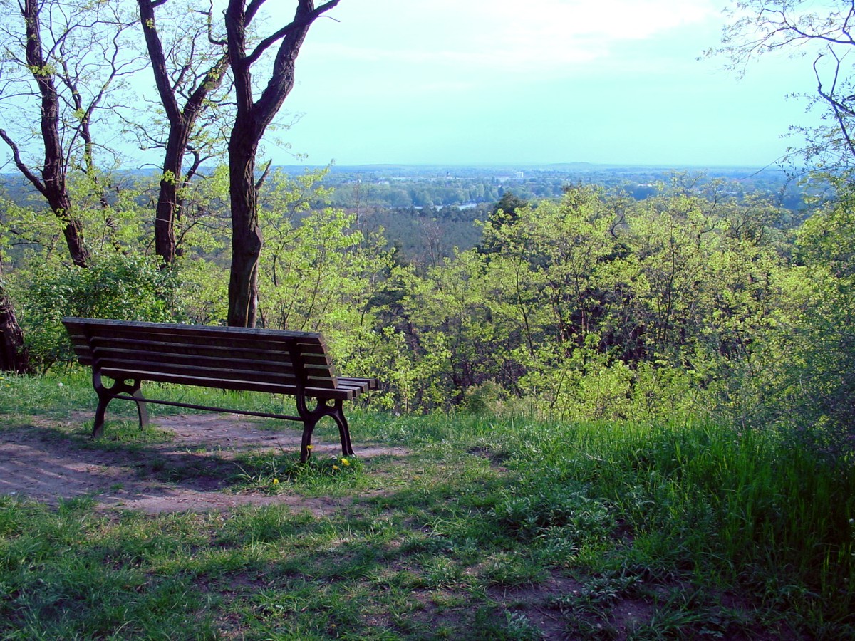 Ausblick vom Kranichsberg