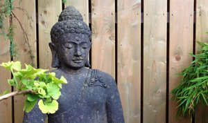 sitzender Budda vor einer Holzwand mit Ginko