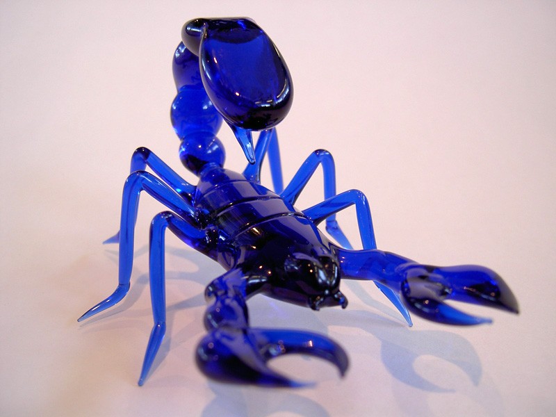 Glasscorpion