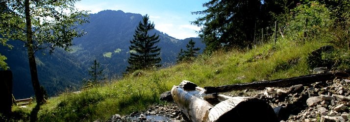 Genießen Sie bei Ihrem Urlaub in den Bergen im Sommer in Bad Hindelang eine wunderschöne Zeit beim Wandern.