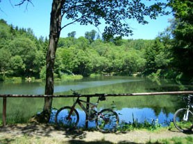 Unsere Ferienwohnung ist ideal für Radfahrer geeignet, die das Röhngebirge um Bad Brückenau erkunden möchten. Unsere Appartements können Sie mit oder ohne Frühstück buchen.